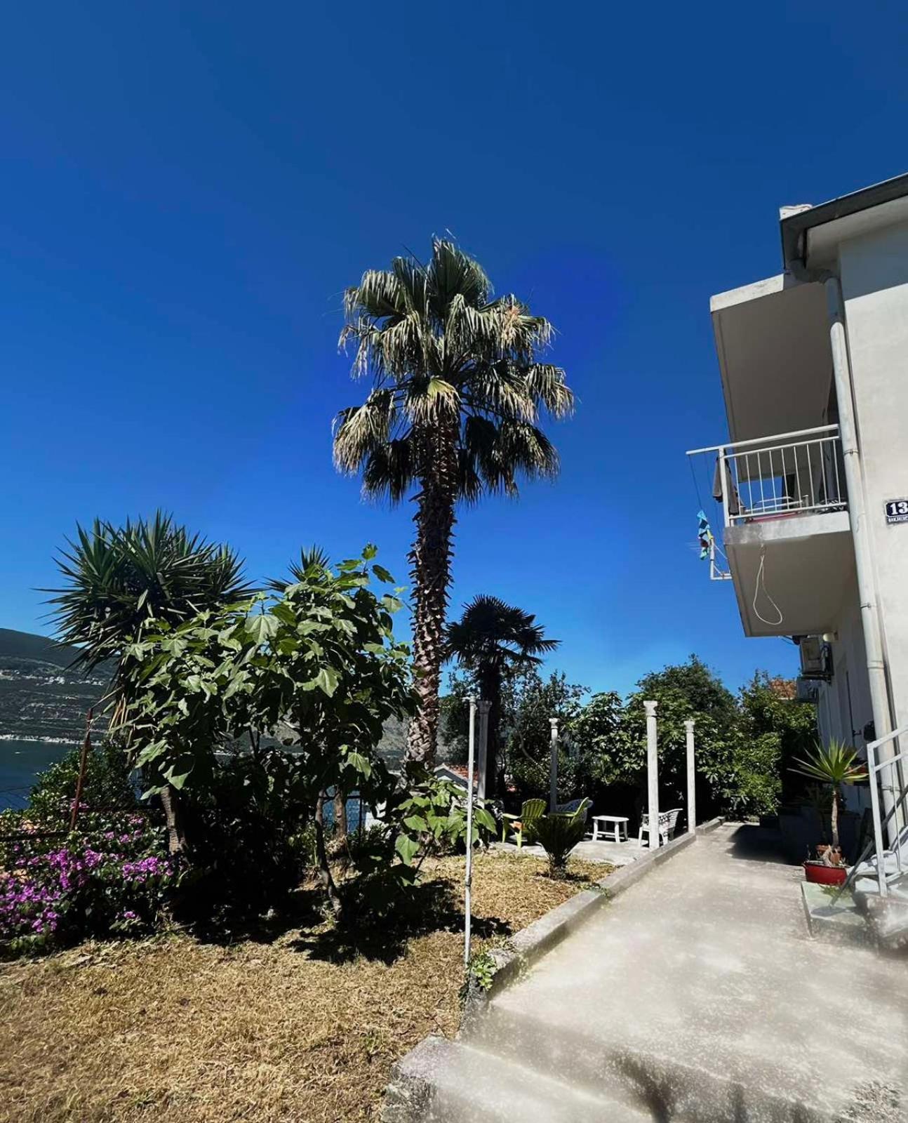 הרצג-נובי Apartments Maya מראה חיצוני תמונה
