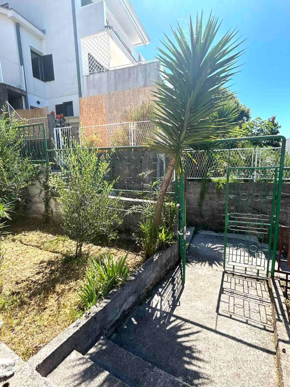 הרצג-נובי Apartments Maya מראה חיצוני תמונה